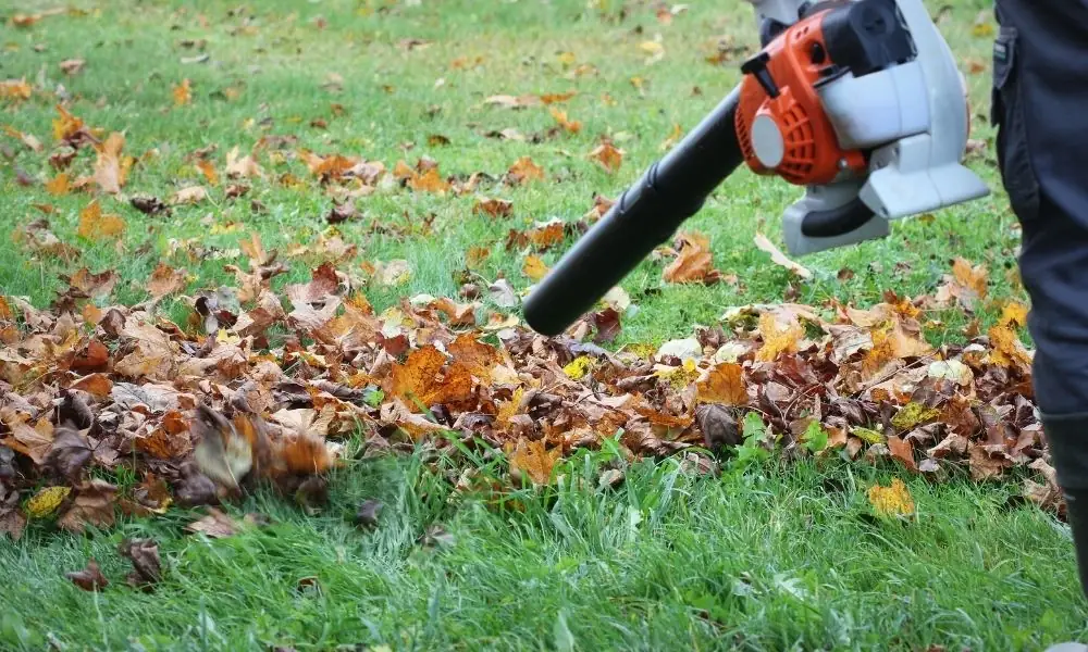 Leaf blower clearing fallen leaves off a lawn