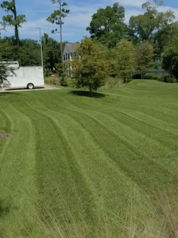 Freshly maintained residential grounds with striped turf and mature trees