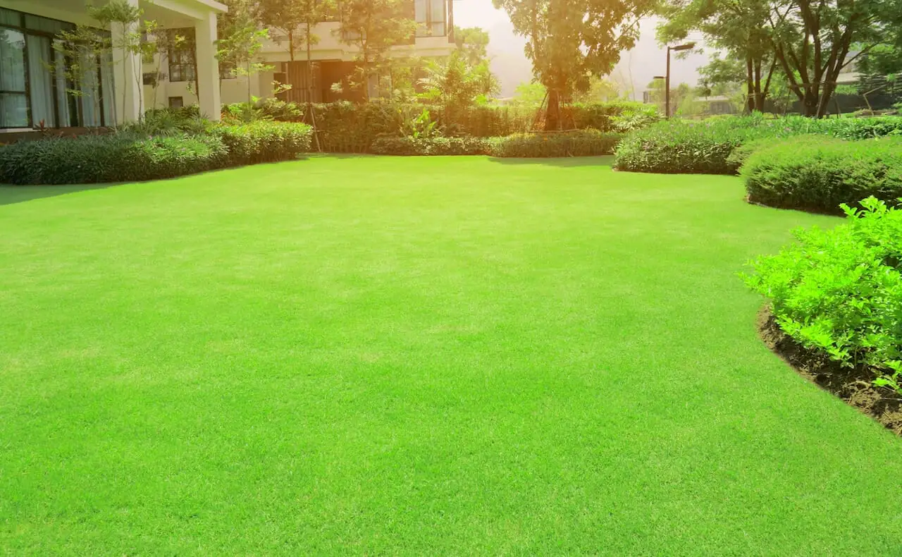 Lush manicured lawn and landscaping