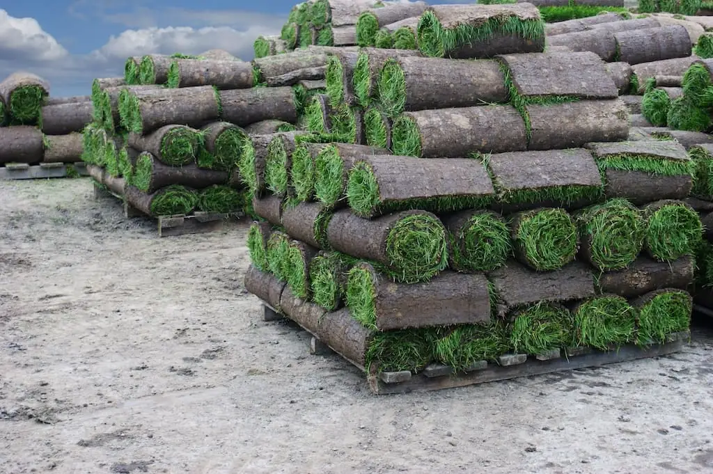 Pallets of rolled sod stacked and ready for installation
